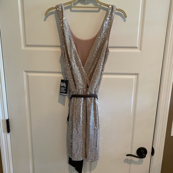 Express Dress - Picture 2 of 4